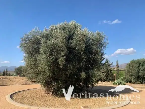 Casa en venda a Vera Ciudad, imagen 18