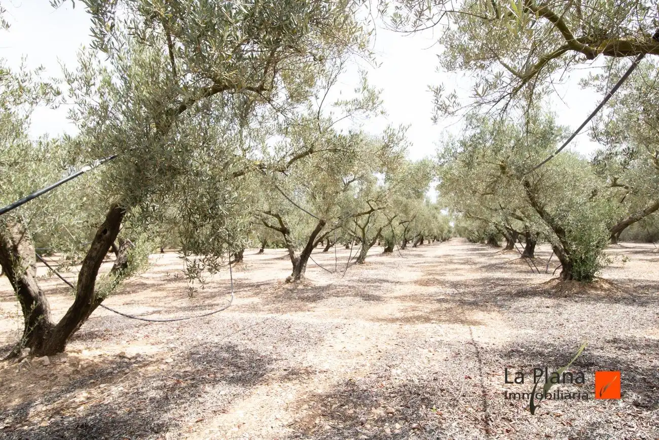 Terrenys i solars en venda a Santa Bàrbara, imagen 6
