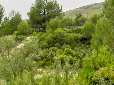 Terreno rustico in vendita a Camino Partida Foyetes