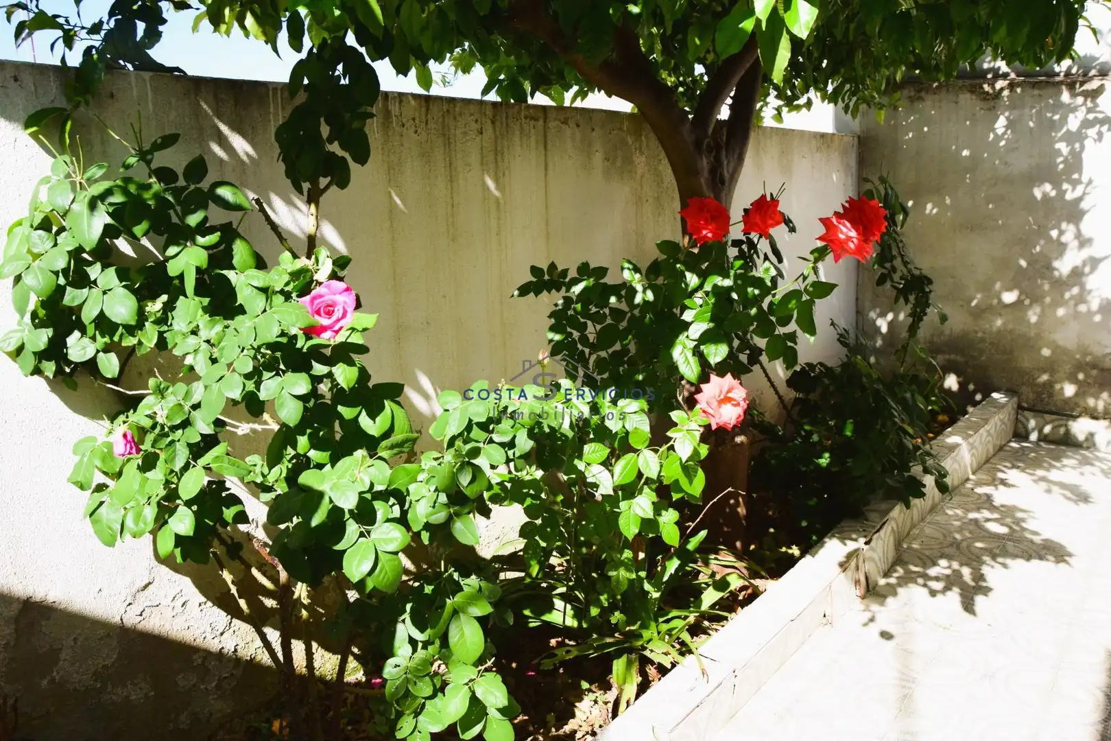 Jardí de Casa o xalet en venda en Gibraleón amb Traster