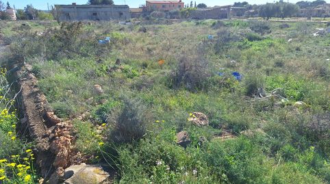 Foto 2 de Residencial en venta en Los Girasoles, San Vicente del Raspeig / Sant Vicent del Raspeig