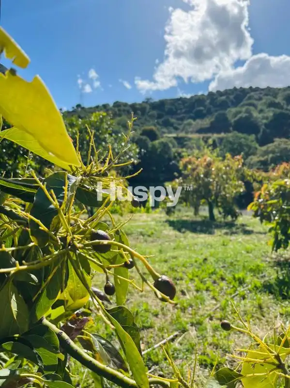 Casa rústica con terraza en venta en Diseminado Diseminados, imagen 18