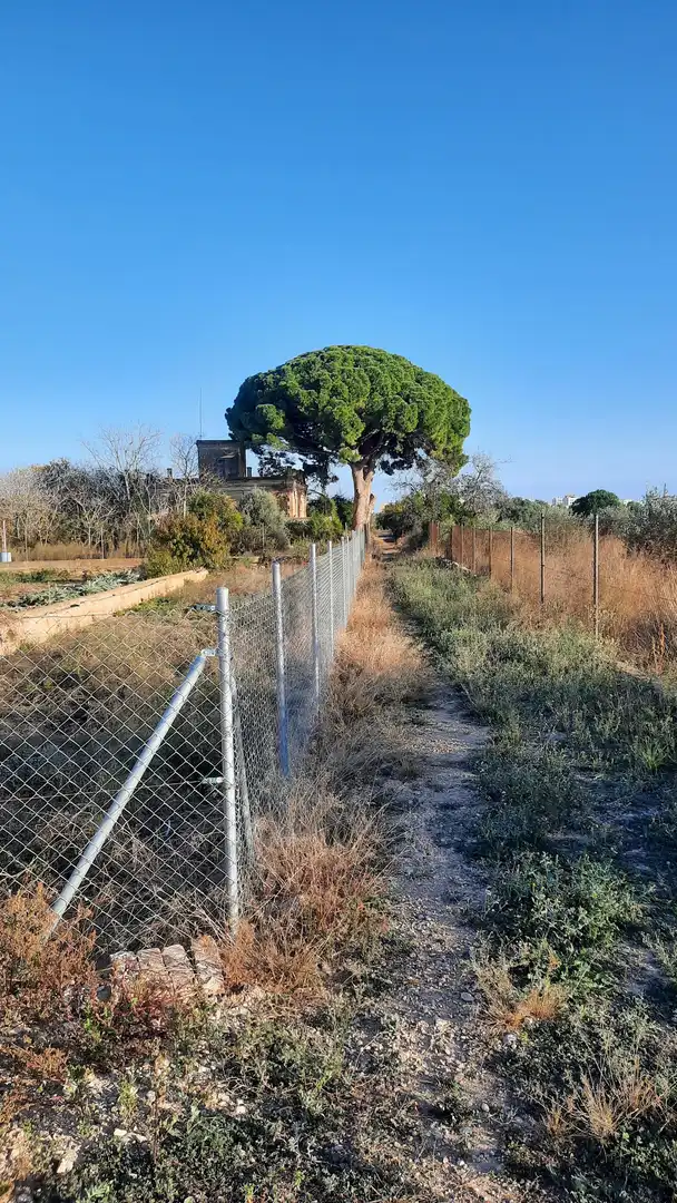 Finca rústica en venta en Plaça Poligono 29, Casco Urbano