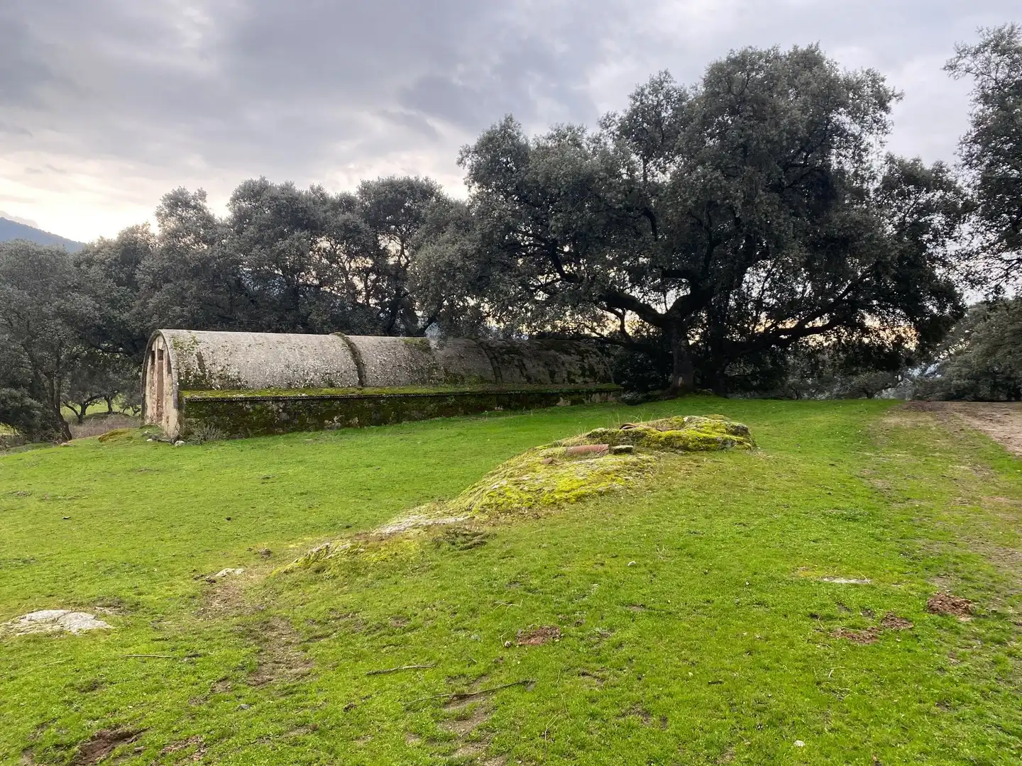 Terreno en venta en Navamorcuende