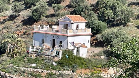 Foto 3 de Finca rústica en venta en Camino Barcenilla Alta, Olías, Málaga Capital