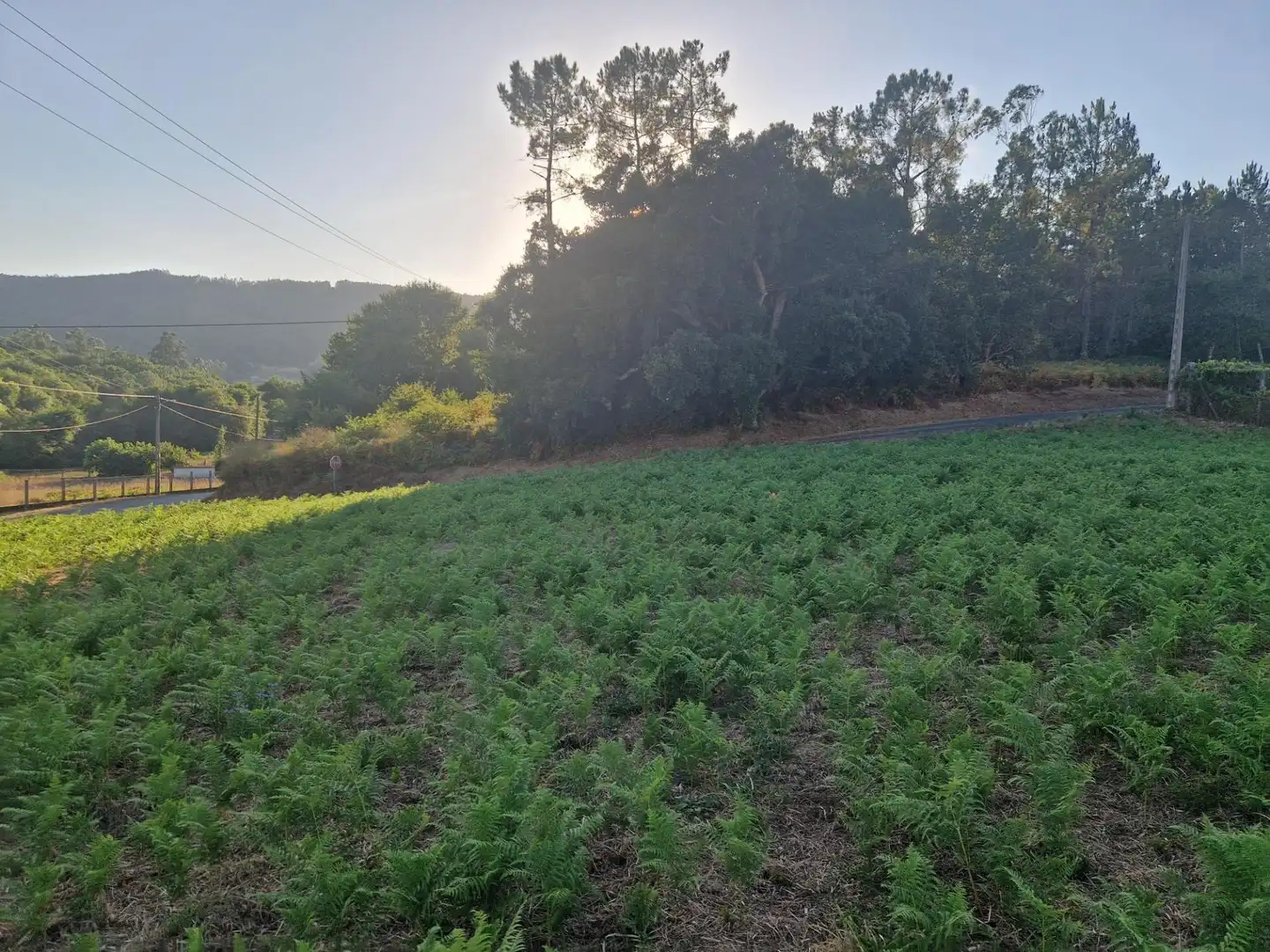 Terrains et parcelles à vendre à Carretera CASTRO PONTEVEA, imagen 5