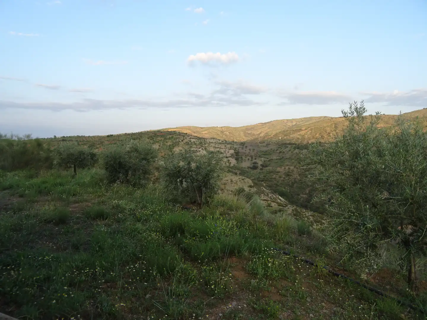 Country homes for sale in Lobras