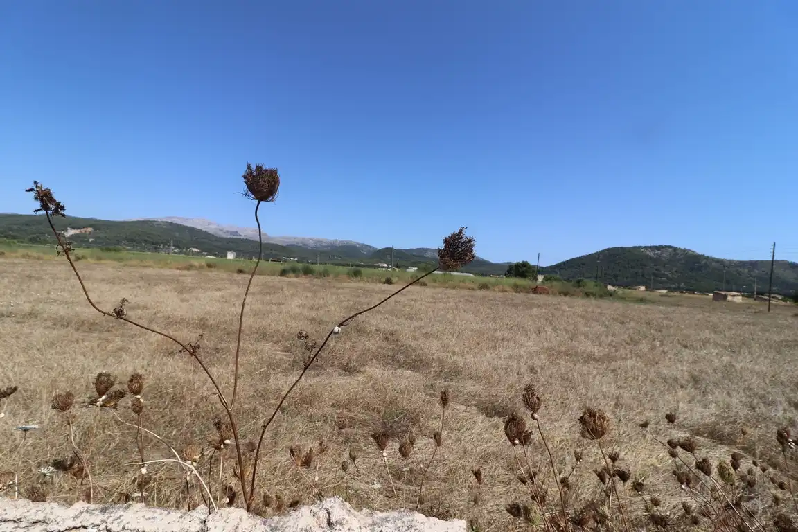 Grundstücke zum Verkauf in Sa Pobla