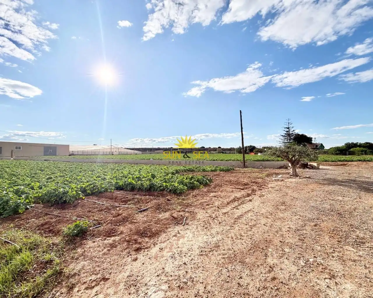 Casa con piscina en venta en San Pedro del Pinatar, imagen 49