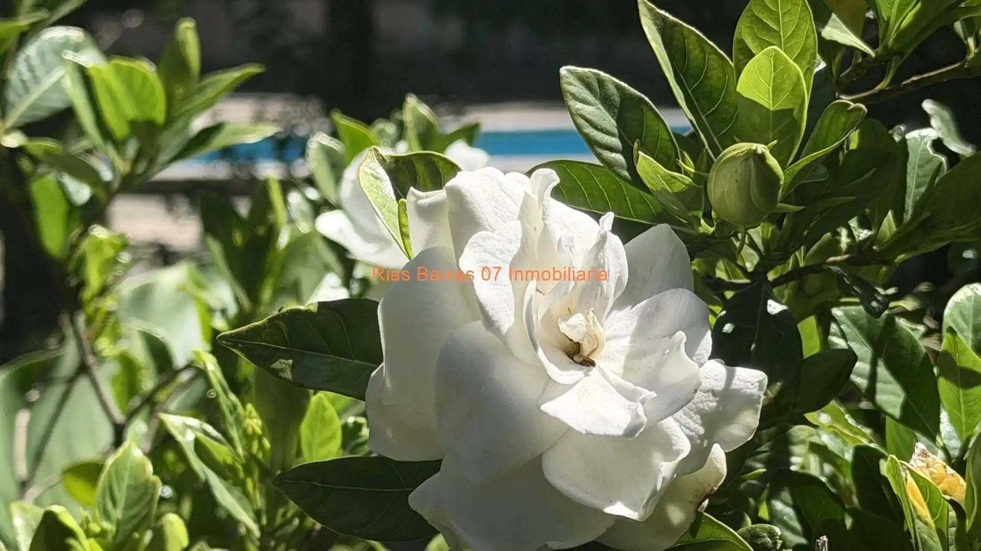 Jardín de Casa o chalet en venta en Mos con Calefacción, Terraza y Trastero