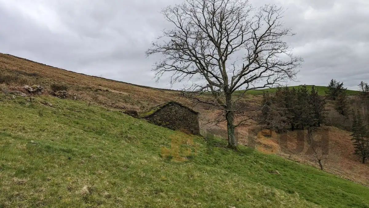 Vista exterior de Finca rústica en venta en Selaya
