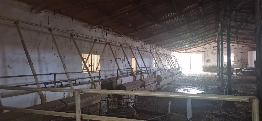 Industrial buildings for sale in Minaya
