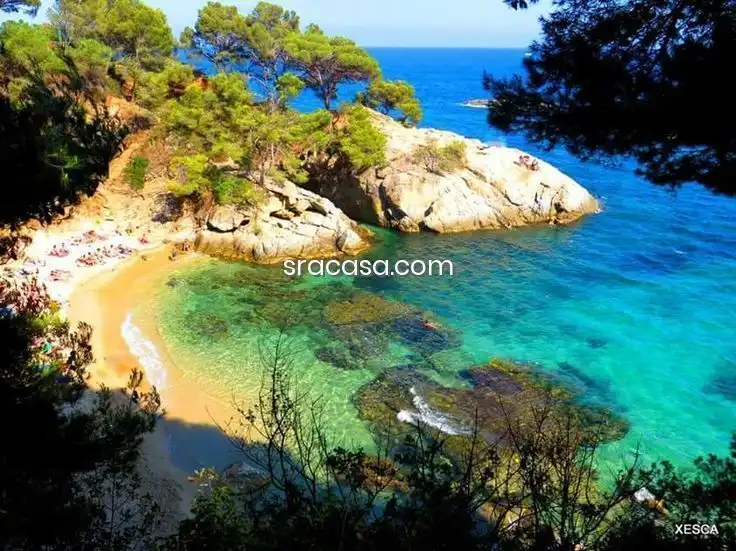 Chalet con piscina en venta en Cabanyes - Mas Ambrós - Mas Pallí, imagen 28