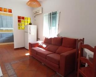 Living room of Flat to rent in Málaga Capital  with Air Conditioner and Heating