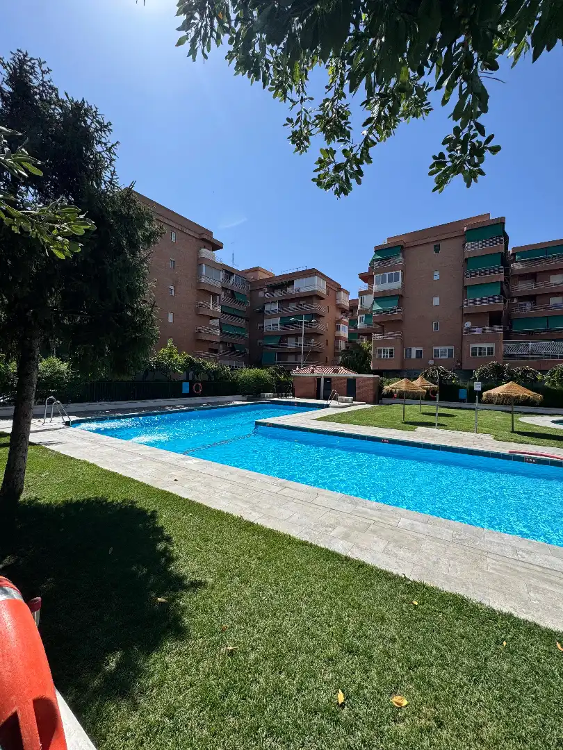 Flat for rent in Barrio de Zaidín