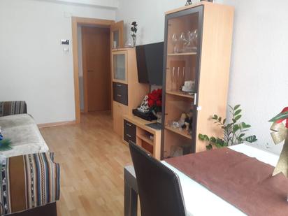 Living room of Flat to rent in  Zaragoza Capital  with Heating, Parquet flooring and Furnished