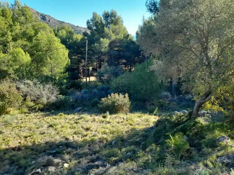 Terreno residencial en venta en REFUGIO, imagen 4