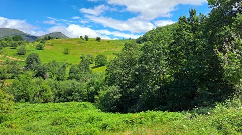 FINCA EDIFICABLE CON VISTAS A 10 MINUTOS DE CANGAS DE ONIS, immagine 4