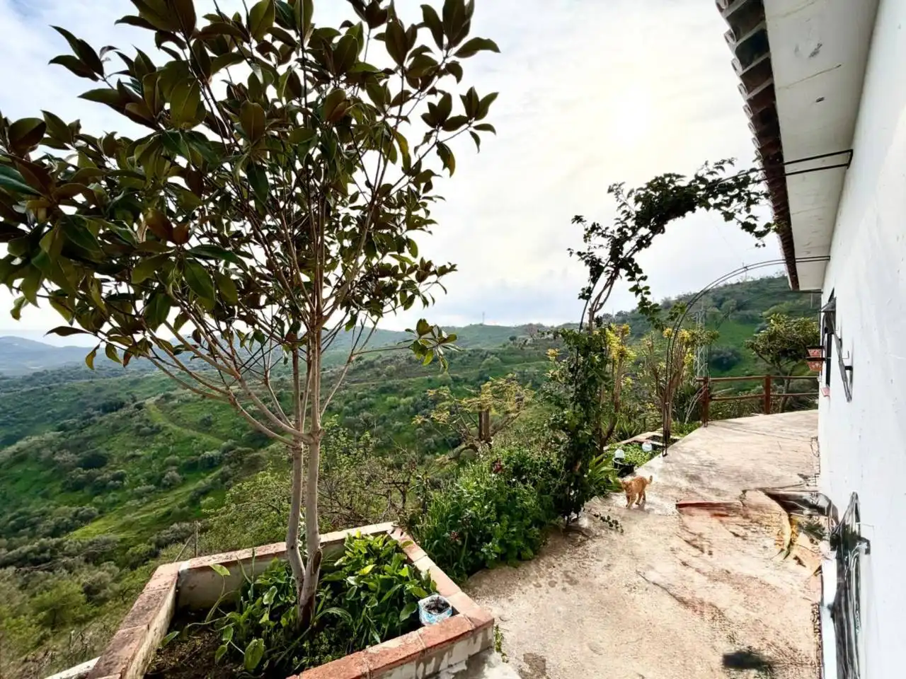 Casa rústica en venda a Macharaviaya, imagen 30