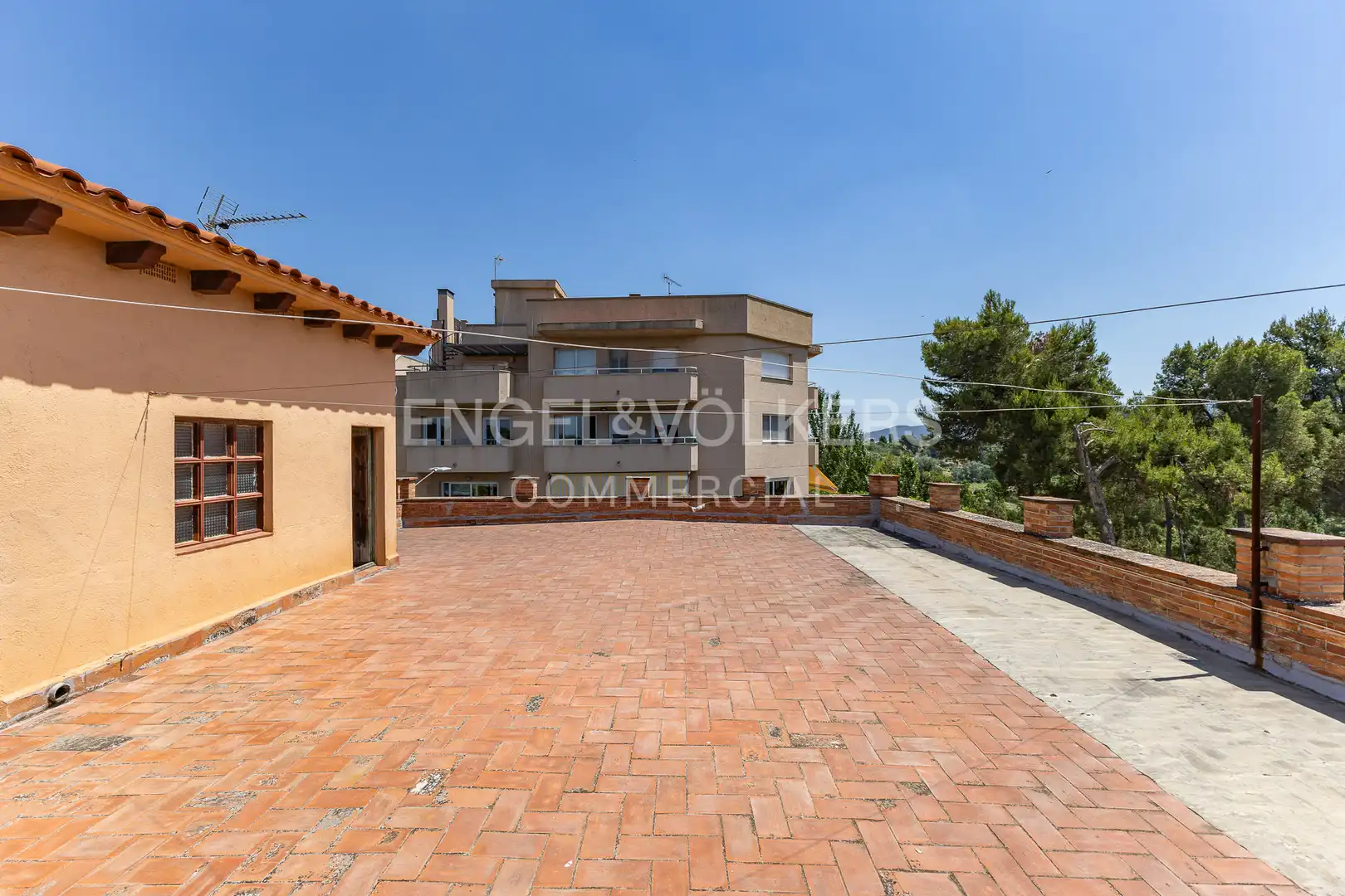 Nave industrielle à vendre à Sant Sadurní d'Anoia, imagen 2