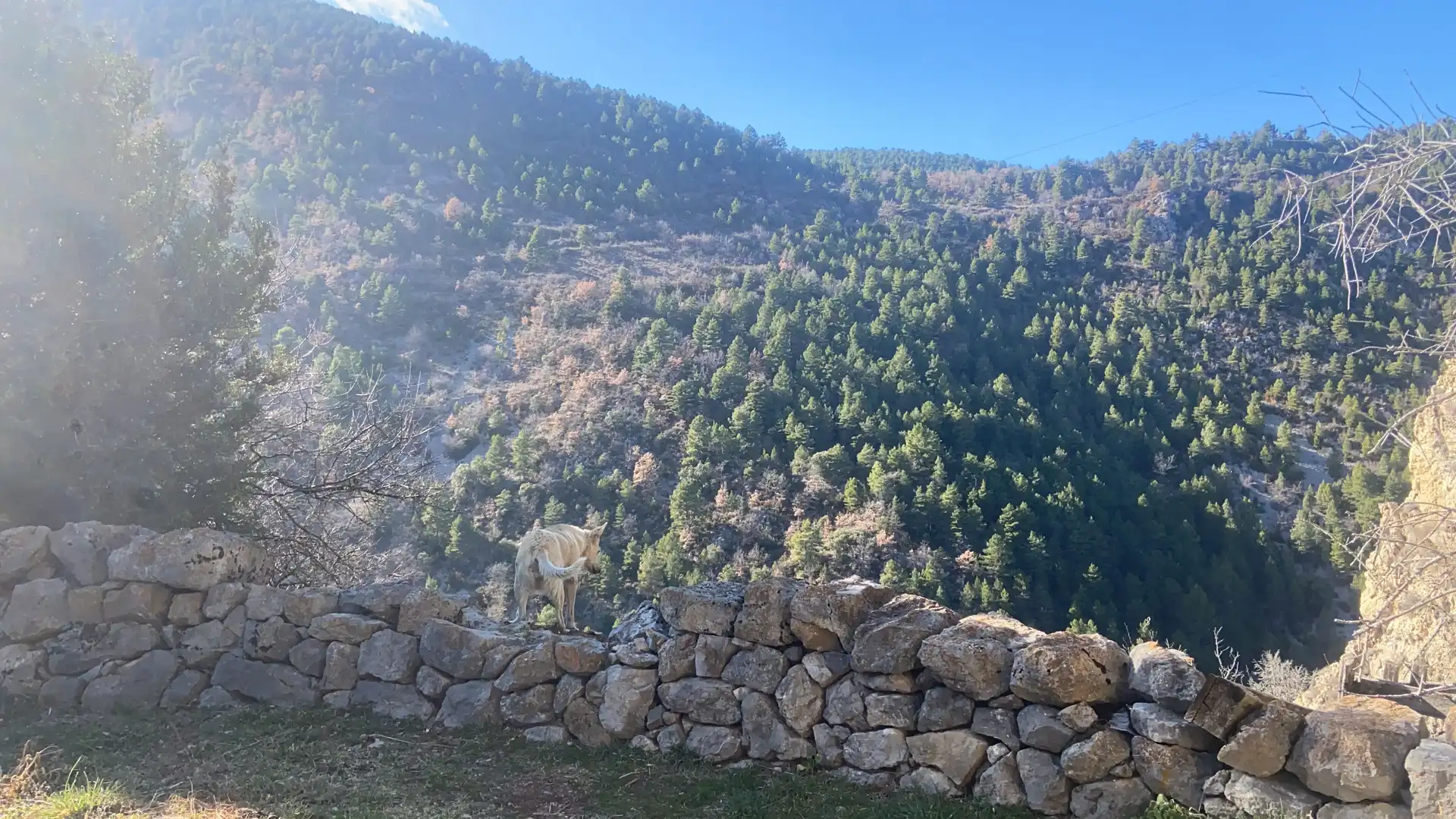 Casa con terraza en venta en La Vansa i Fórnols, imagen 21
