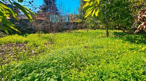 Foto 3 de Casa o chalet en venta en Calle Talero, 27, Cortegana, Huelva