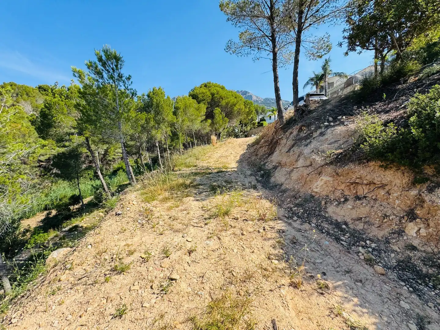 Lands and plots for sale in Mascarat, imagen 8