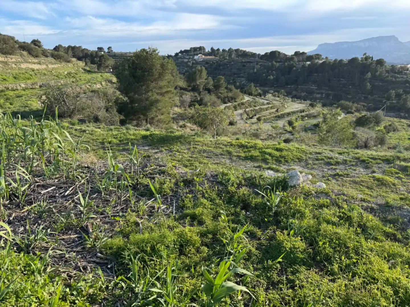 Wohnbaugrundstück zum Verkauf in Benissa pueblo, imagen 23
