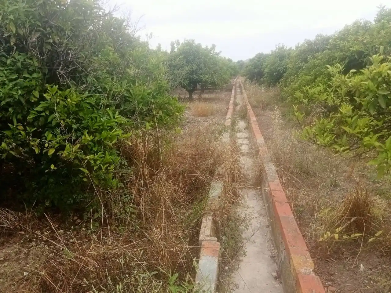 Terreno rustico in vendita a Camino Paloma, imagen 7
