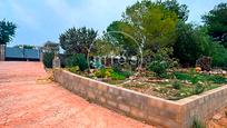 Jardí de Casa o xalet en venda en Turís amb Terrassa i Piscina