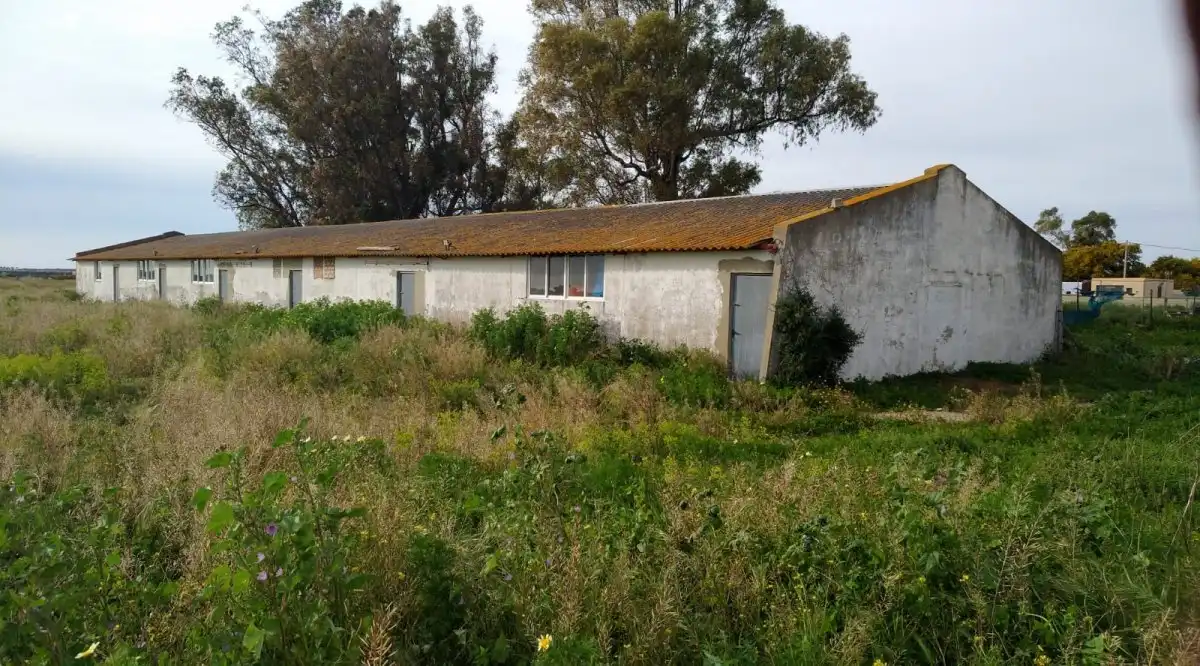 Exterior view of Residential for sale in Chiclana de la Frontera