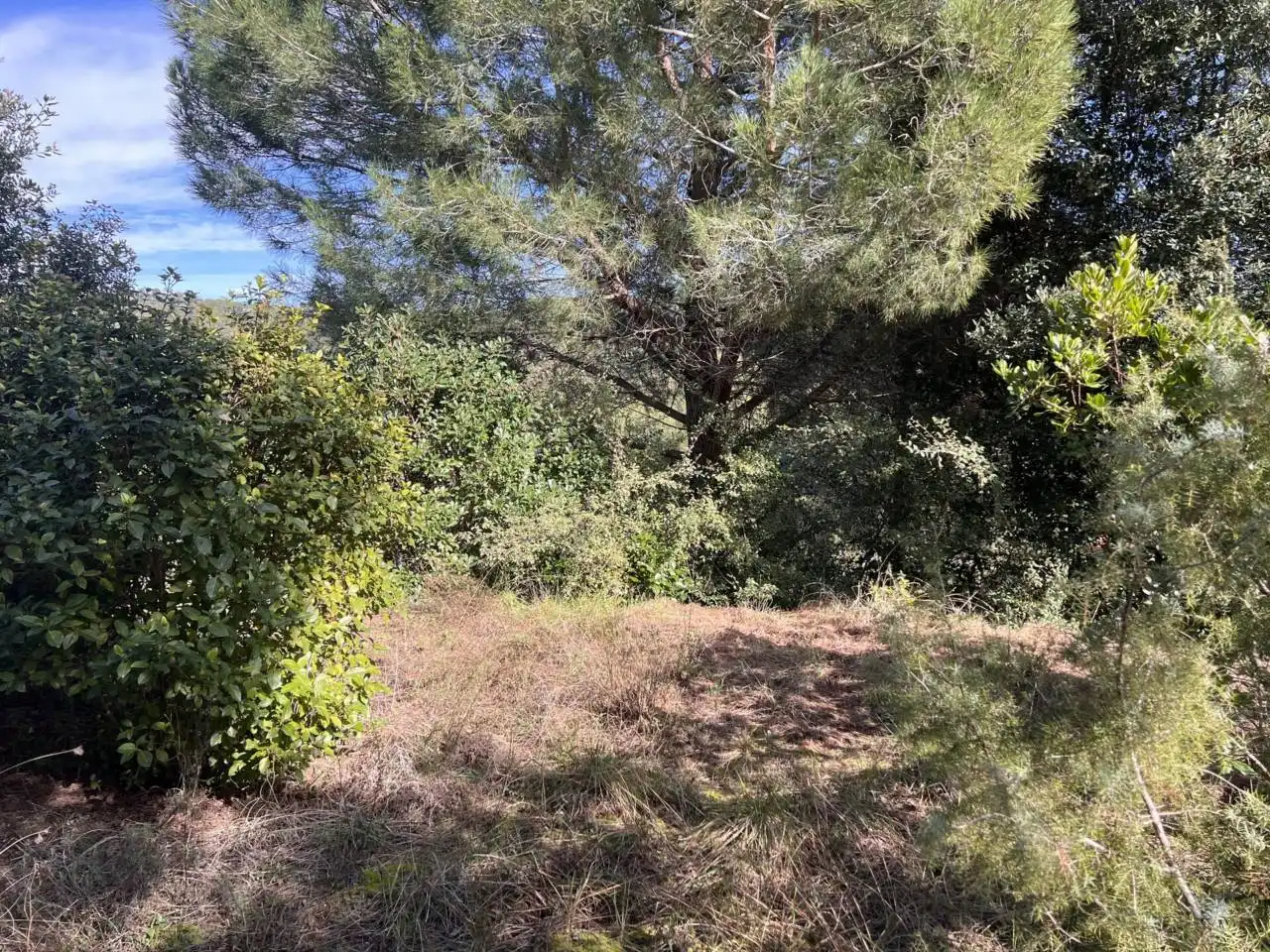 Terreny residencial en venda a Sant Feliu de Codines, imagen 3