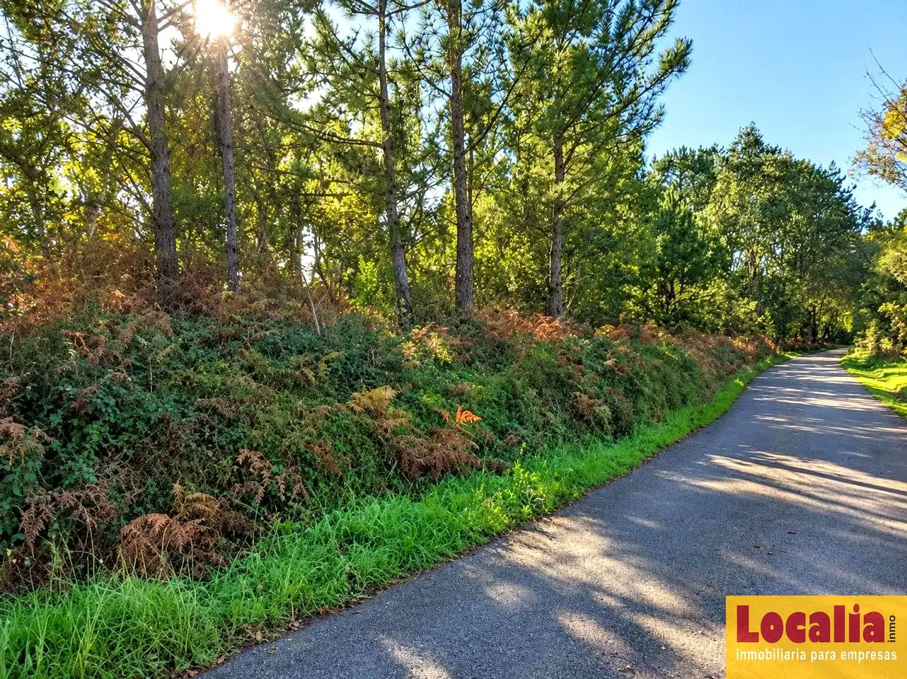 Terrenos y solares en venta en Oviñana, imagen 14