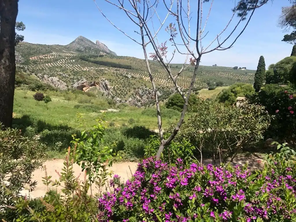Vista exterior de Terreno en venta en Jaén