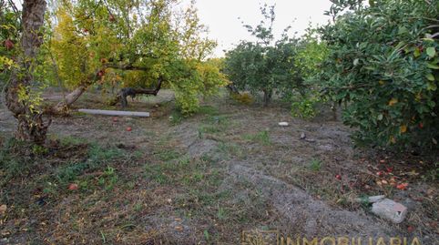 Se vende parcela con pequeña casa por Cortijo Benítez, image 4