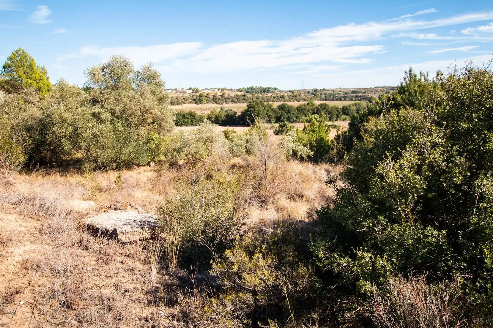 Terreno en venta en Caspe