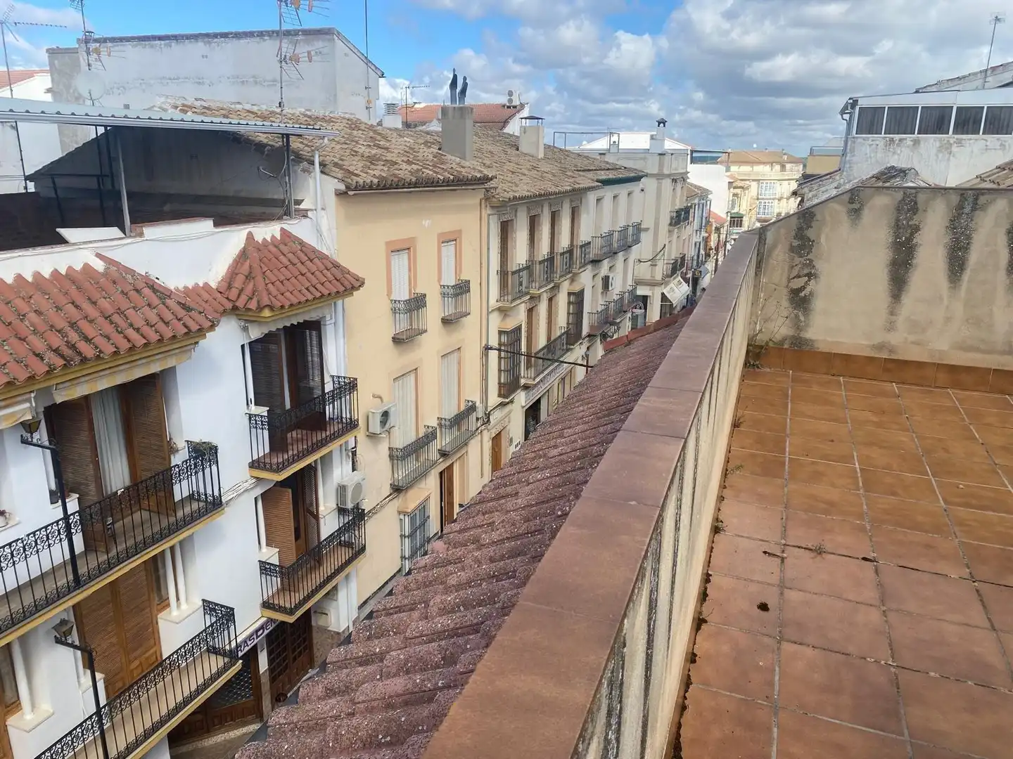 Exterior view of Detached homes for sale in Benamejí  with Private garden, Terrace and Storage room