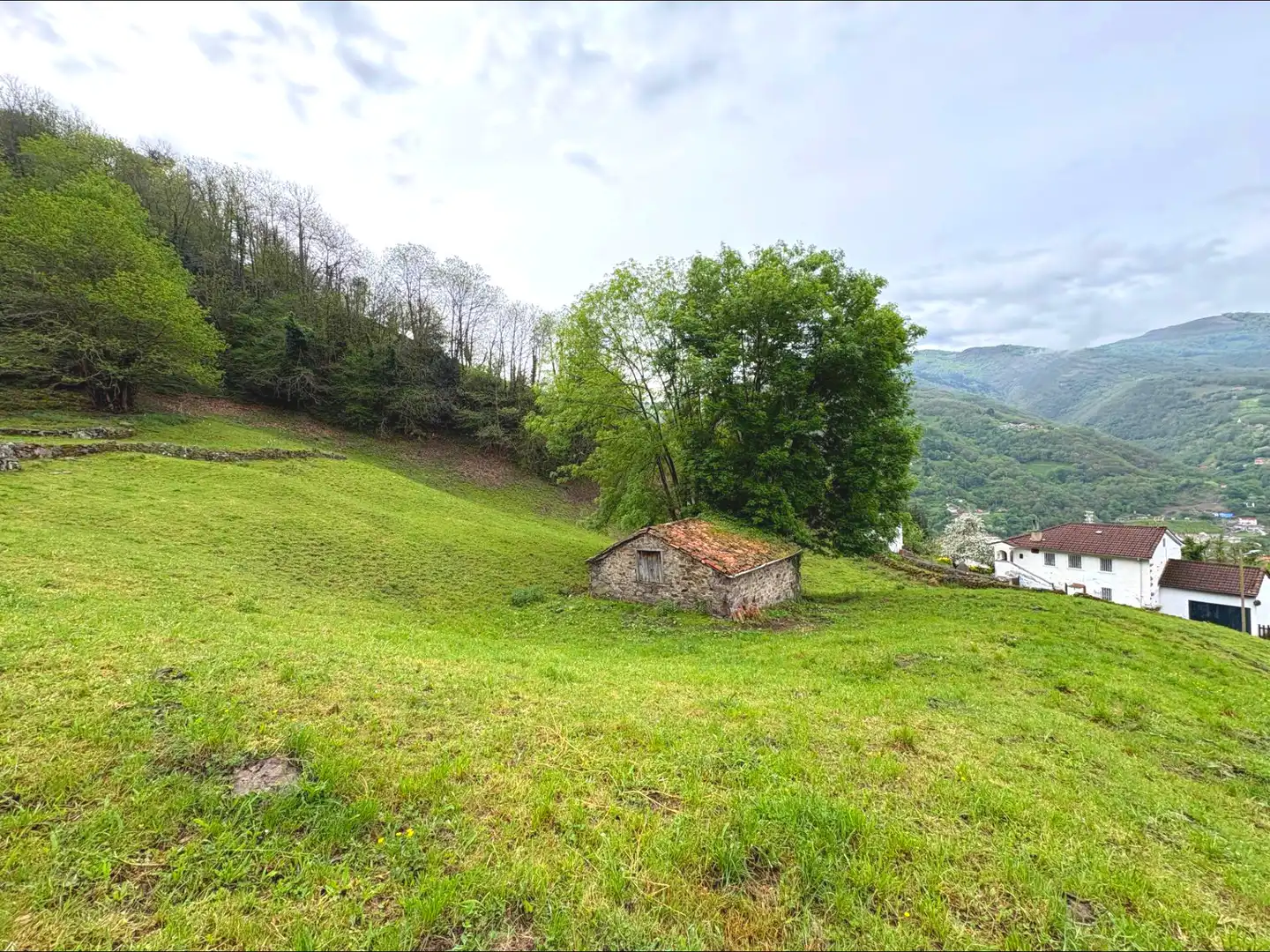 Casa o chalet en venta en Aller con Jardín privado