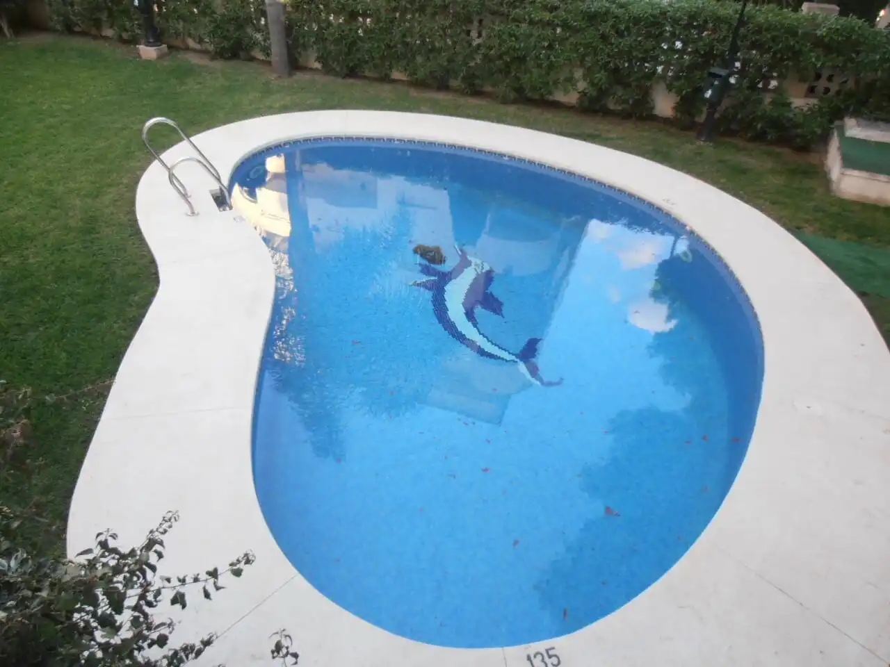 Piscina de Apartament en venda en Benalmádena amb Terrassa, Moblat i Balcó