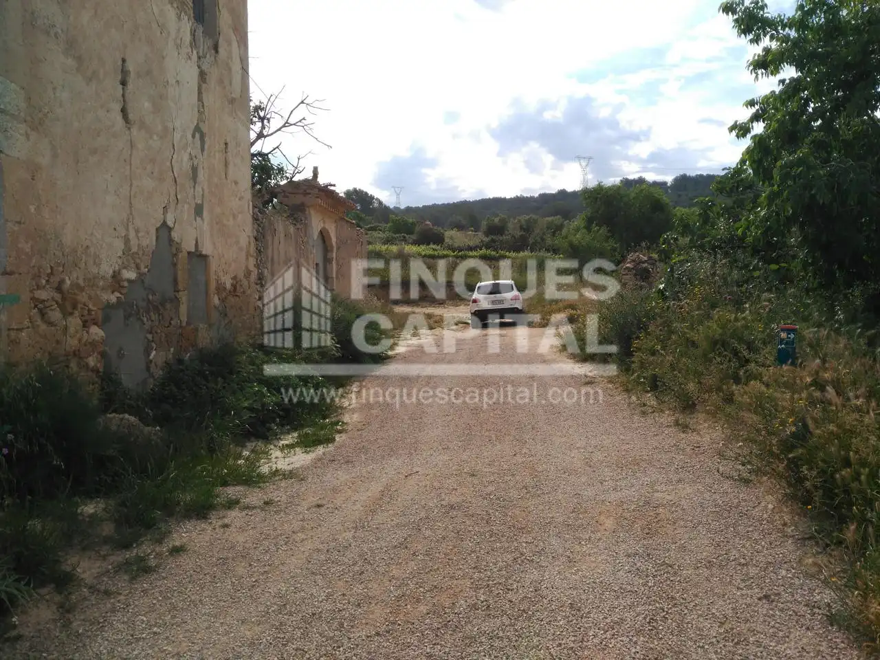 Terreny rústic en venda a Els Monjos, imagen 6