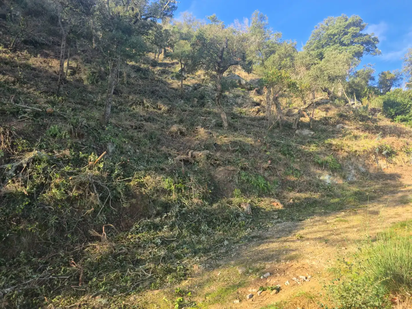 Terrain résidentiel à vendre à Xiprer 36