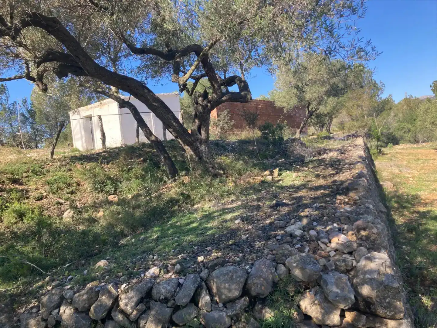 Finca rústica en venda en L'Ampolla
