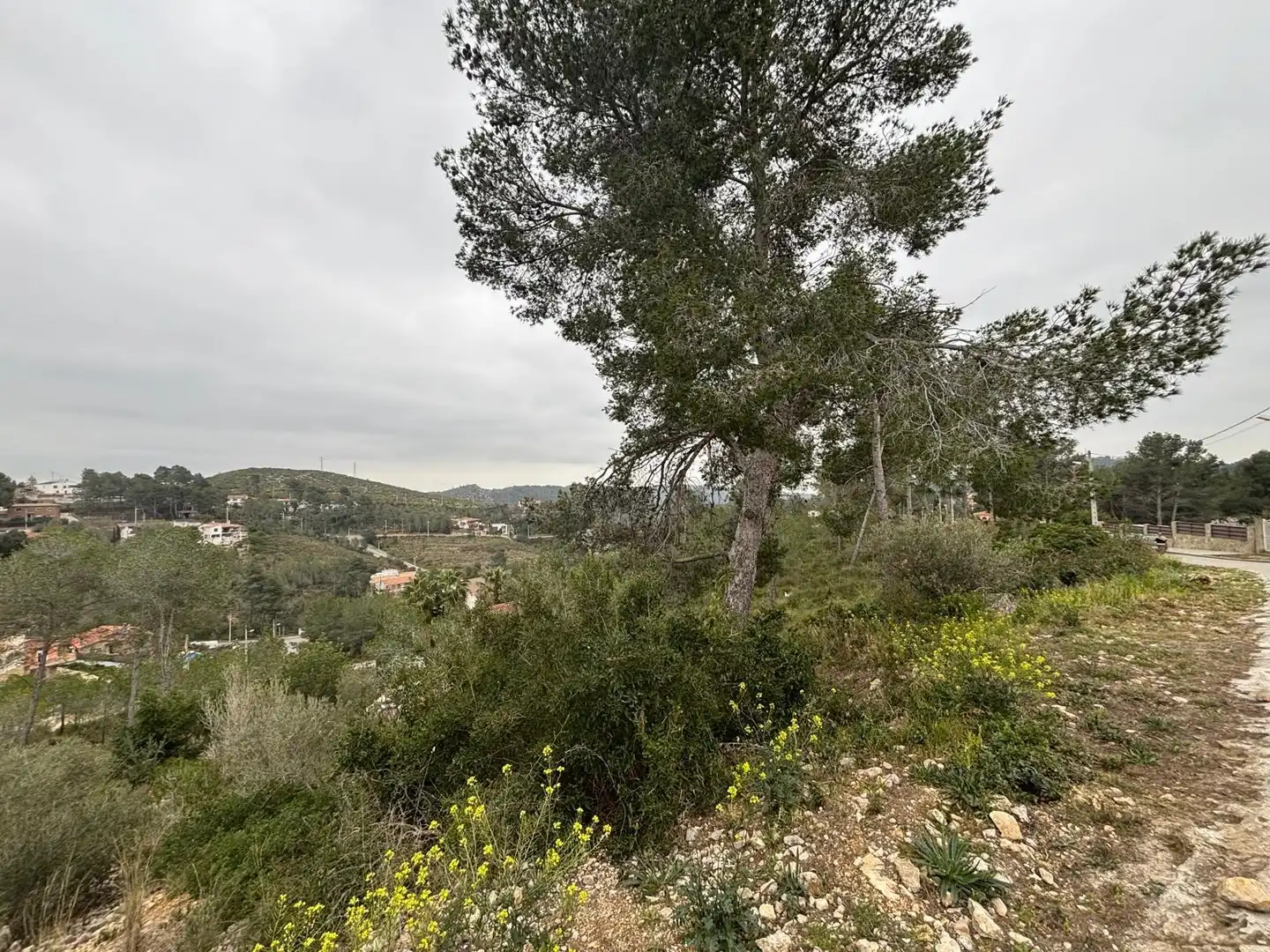Wohnbaugrundstück zum Verkauf in Olivella, imagen 25
