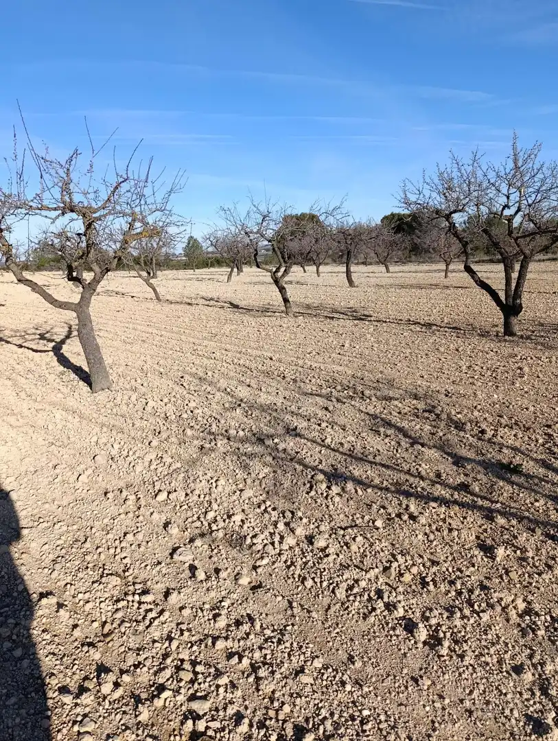 Terreny rústic en venda a Ribera de Molina - Torrealta, imagen 10