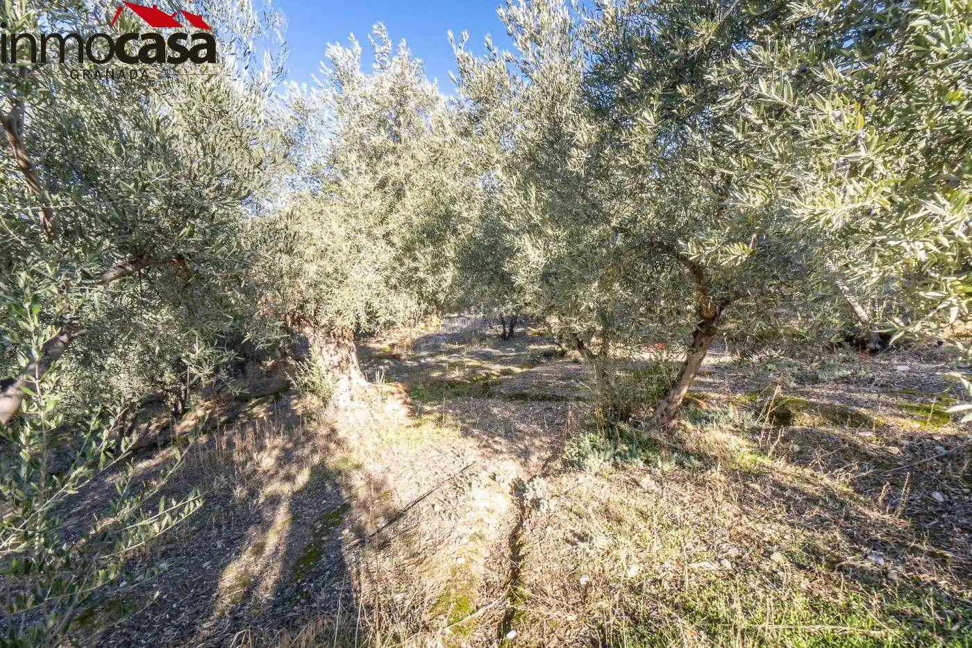 Finca rústica en venda a Polígono PARAJE DE LA HOYA, Güéjar Sierra