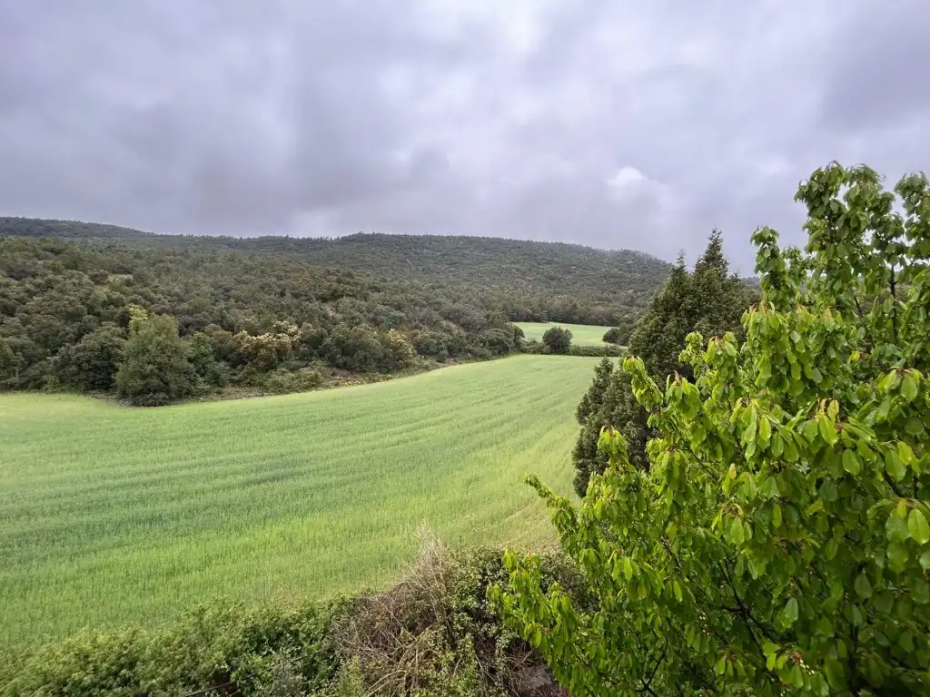 Country homes for sale in El Toro