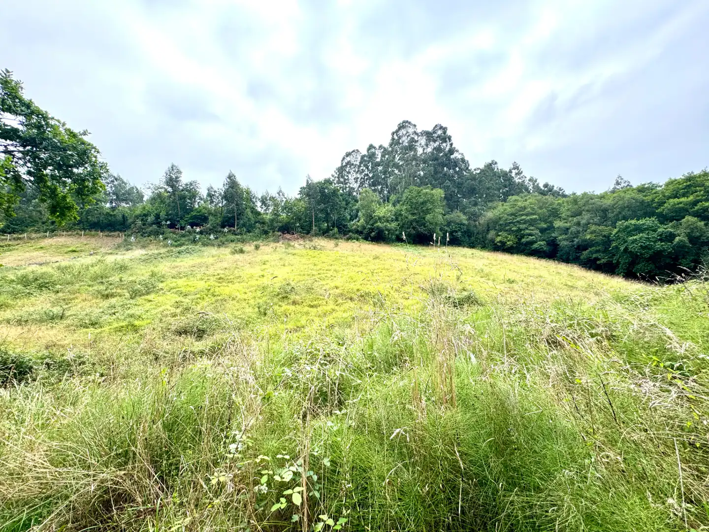 Terreno en venta en Villaviciosa