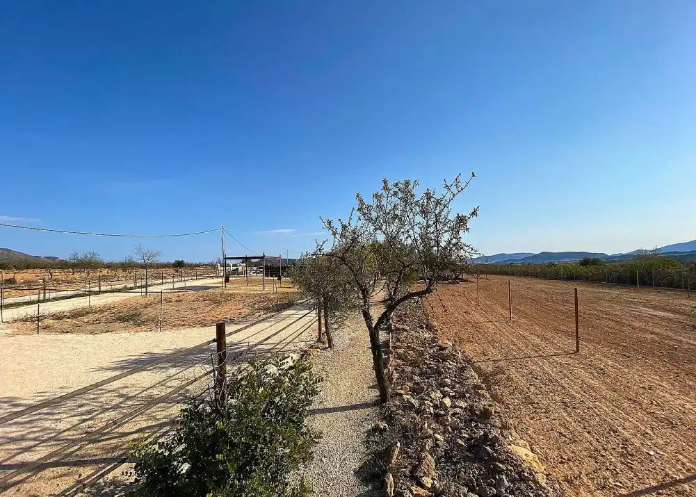 Casa o chalet en venta en El Pinós / Pinoso