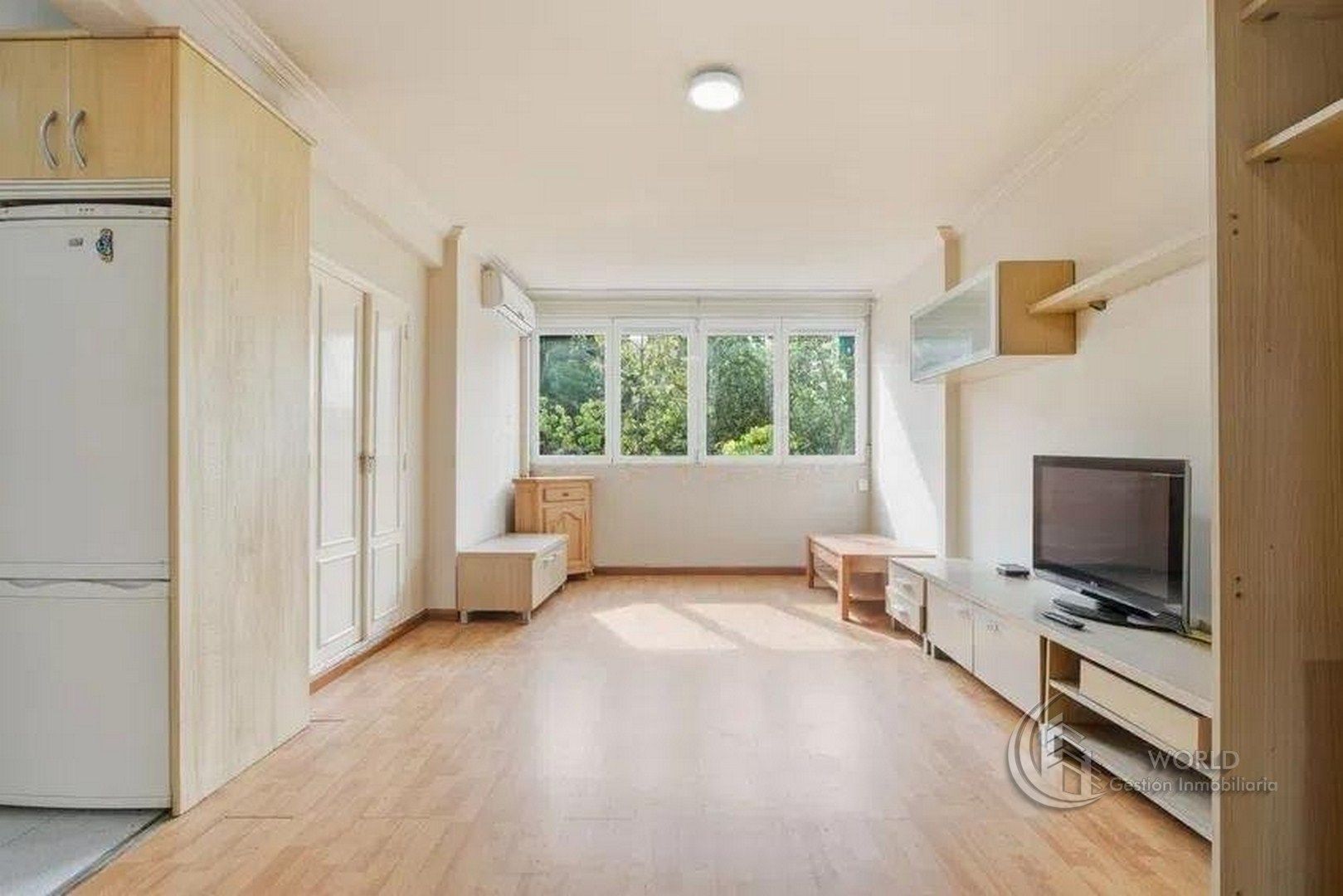 Living room of Flat for sale in  Madrid Capital  with Air Conditioner, Heating and Furnished