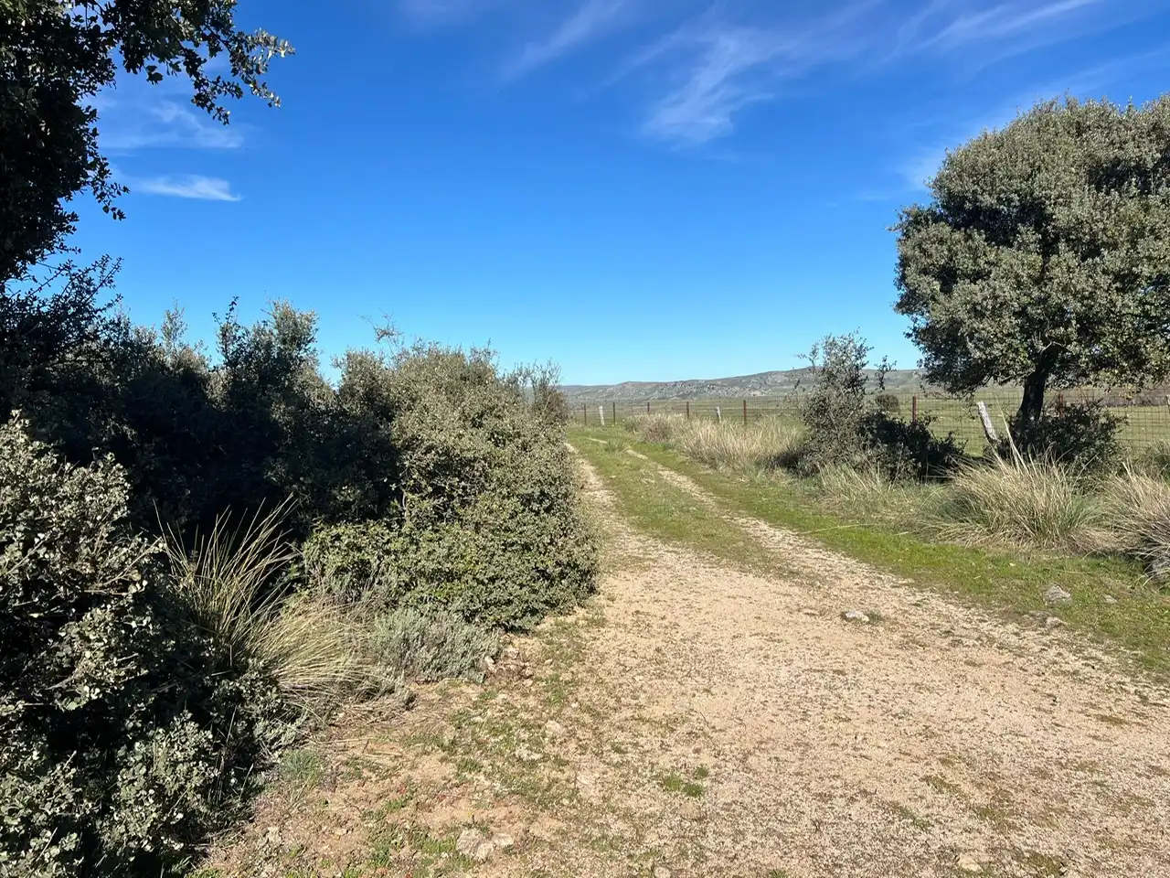Terreni e lotti in vendita a Tornadizos de Ávila, imagen 27